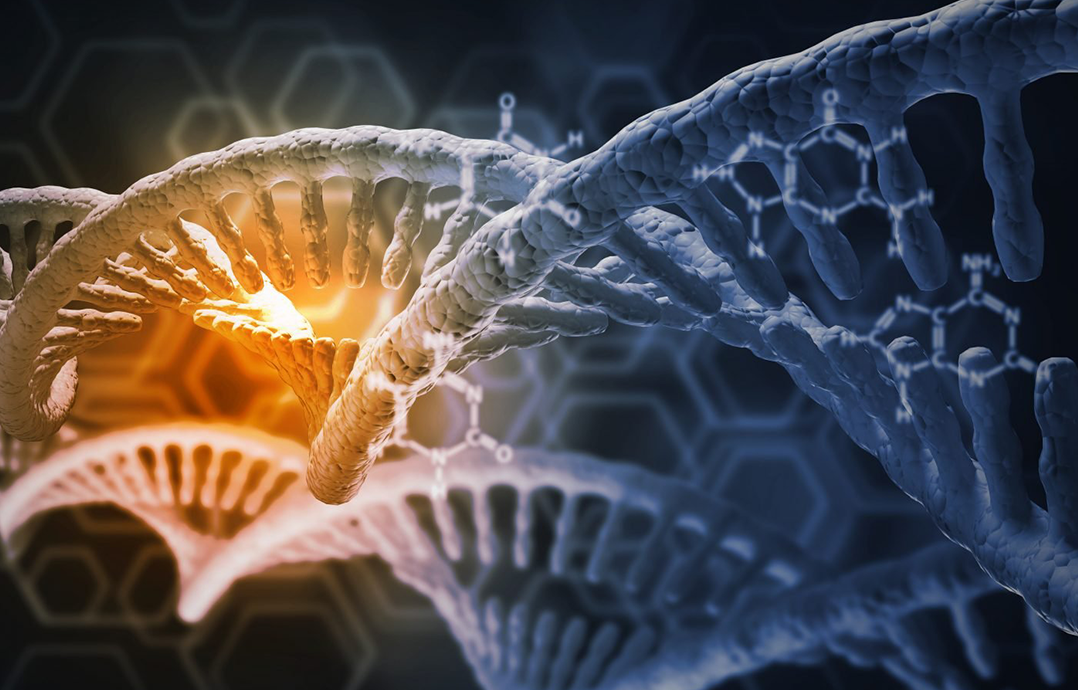 Hidden Dangers of High-Potency Cannabis: Epigenetic Changes and Youth